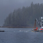 A vessel fishing for salmon