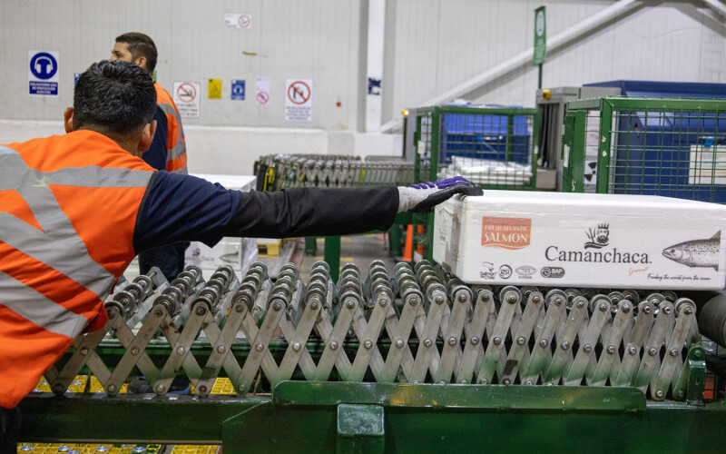 A box of Camanchaca salmon about to be shipped