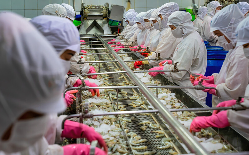 Workers in a Vietnamese shrimp-processing facility