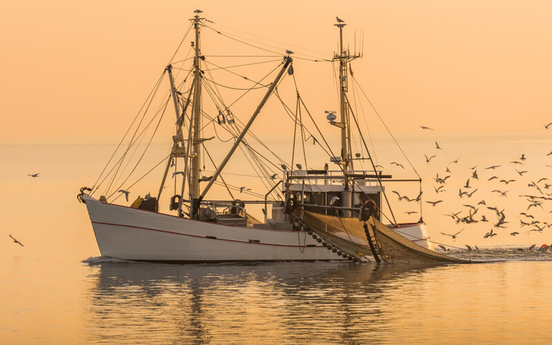A fishing boat in the North Sea