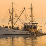 A fishing boat in the North Sea