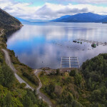 A salmon farm in Chilean Patagonia