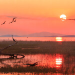 Sunset on the Zimbabwean side of Lake Kariba