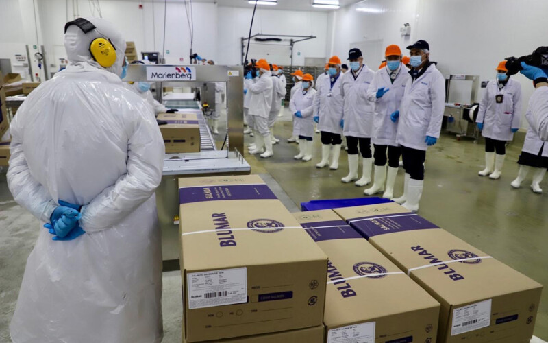 Workers on protective clothing inside a Blumar processing facility