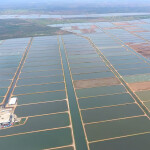 Grupo Lamar's extensive shrimp farm