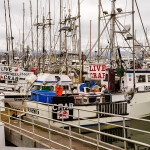 Crab-fishing vessels in California