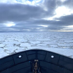 The view from the bow of a ship on the ice-covered East Bering Sea