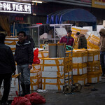 A seafood market in Beijing, China