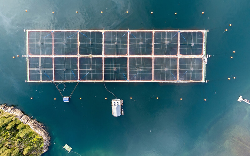 A salmon farm in the Los Lagos region of Chile