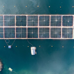 A salmon farm in the Los Lagos region of Chile