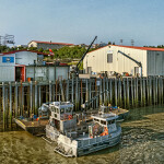 A view of OBI Seafoods' Naknek, Alaska facility