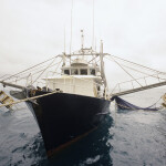 A prawn-fishing vessel in Australia