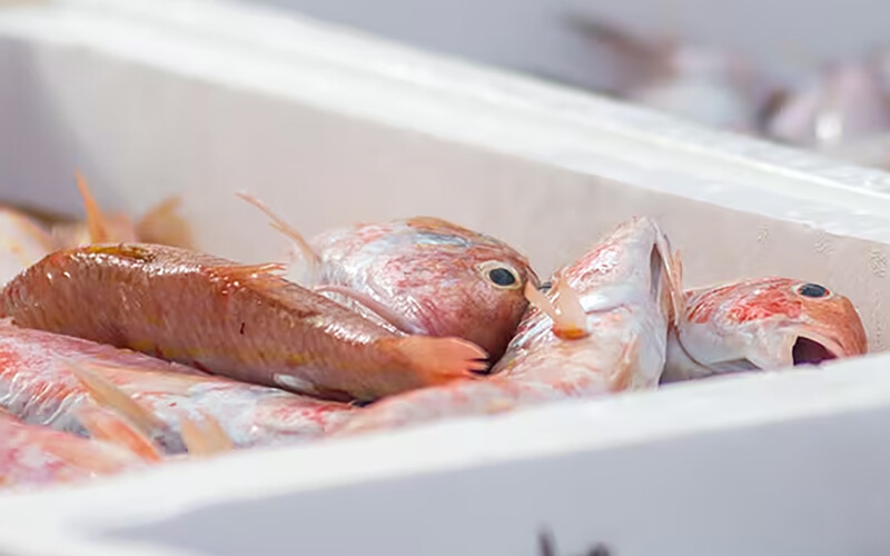A fresh seafood shipment