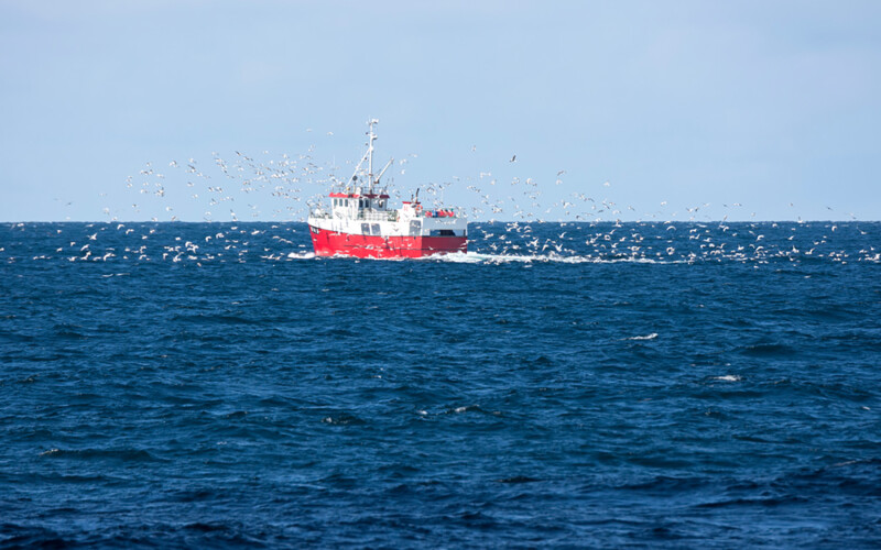 A cod-fishing vessel off of the Lofoten Islands in Norway