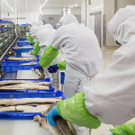 Chinese whitefish processors