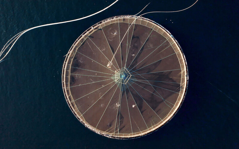 An aerial shot of a Mowi salmon net pen