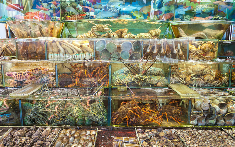 Live seafood market in Hong Kong