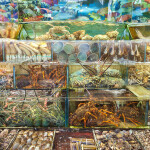 Live seafood market in Hong Kong