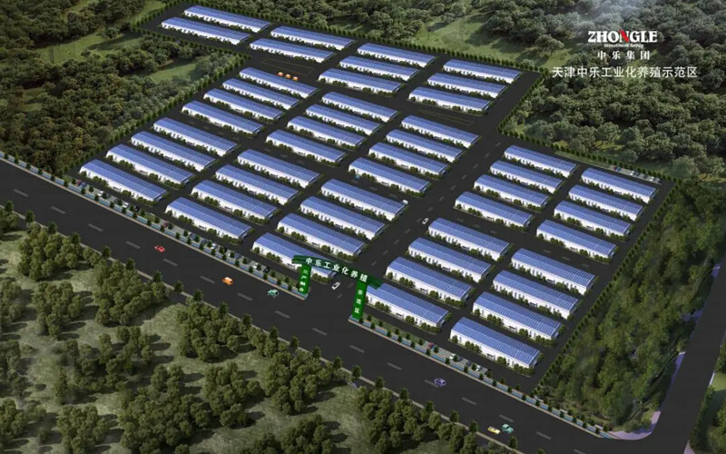 Renderings of the proposed perch-farming project