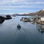 A fishing harbor in Alaska from the air.