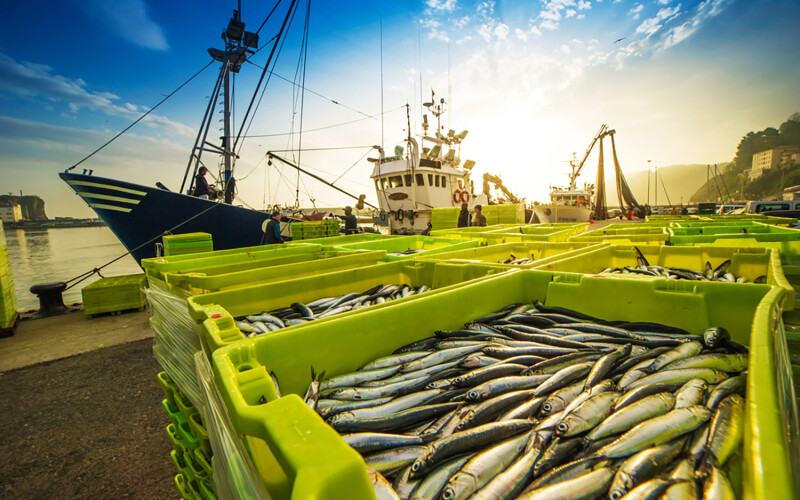 Fish in containers portside