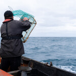 A lobster fisherman onboard a vessel