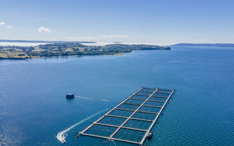 A Chilean salmon farm