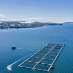 A Chilean salmon farm