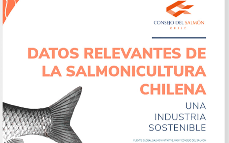 The cover of the Chile Salmon Council's new e-book