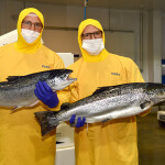 Two people holding Chilean farmed salmon