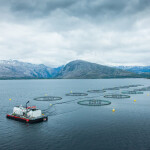 A Nova Sea farm in Northern Norway