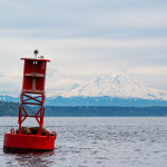 A buoy on Washington's Puget Sound