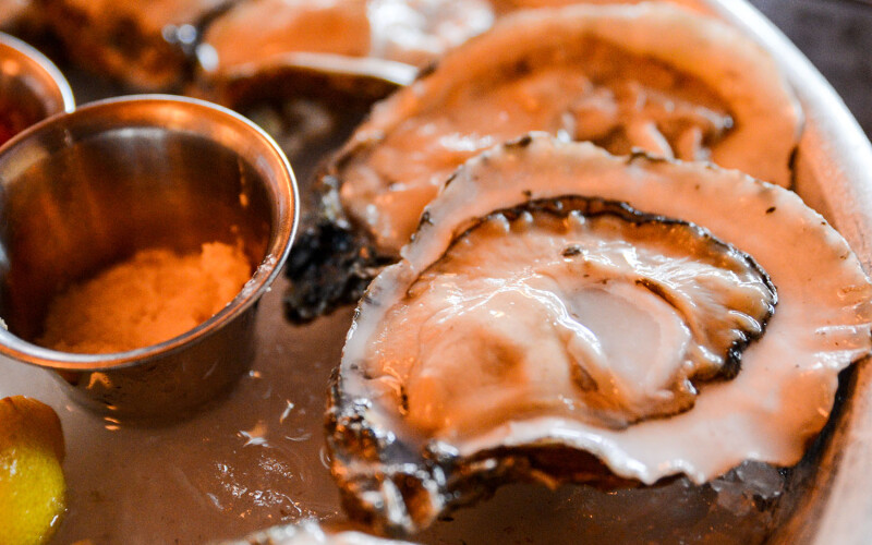 A tray of raw oysters on the half shell in New Orleans, Louisiana