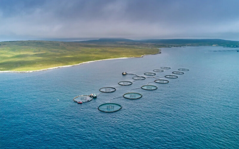 An aerial view of salmon farming net pens in Scotland