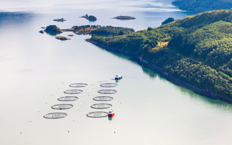 An aerial shot of Nova Sea's farm in Northern Norway, of which Mowi recently bought a controlling stake