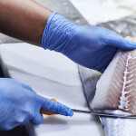 A Norcod employee processing the company's farmed cod