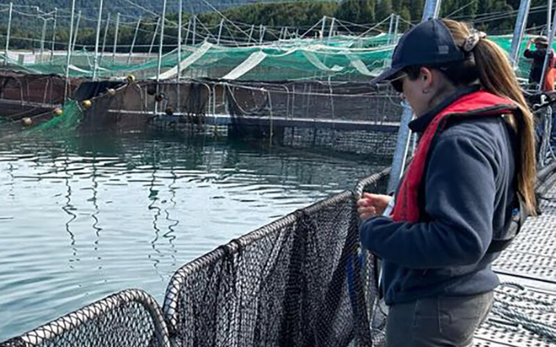 A Sernapesca official auditing a Piscicultura GARO farm