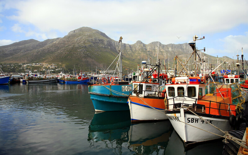 Fishing boats moored off Cape Town, South Africa