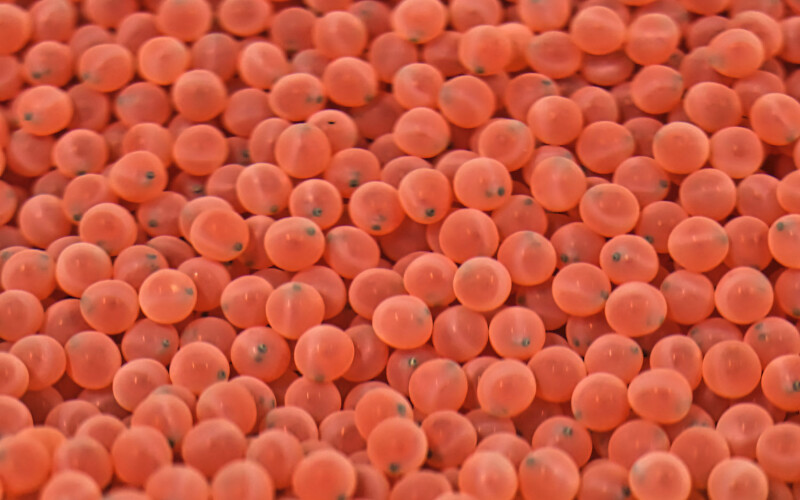 A pile of salmon roe