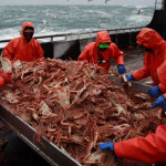 Russian crab fishers on board a vessel with their catch