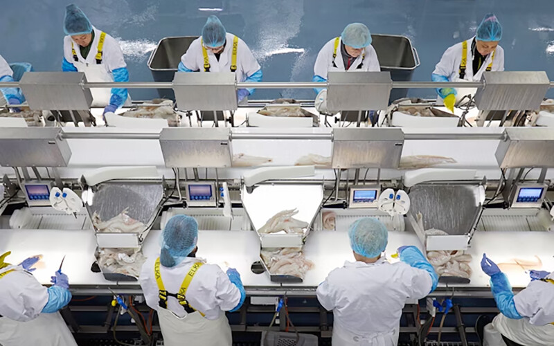Iceland Seafood International employees processing fish