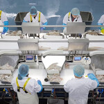 Iceland Seafood International employees processing fish