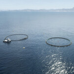 A digital rendering of New Zealand King Salmon's Blue Endeavor project
