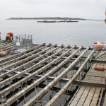 Maine high school students visit and learn about a mussel farm as part of the state's Maine Sea Grant program