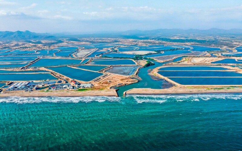 Santa Priscila shrimp-farming operations