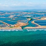 Santa Priscila shrimp-farming operations