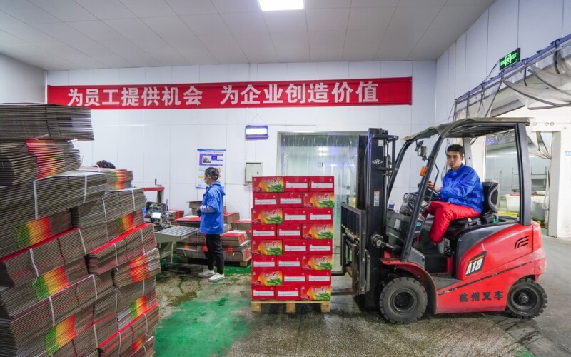 A shrimp-processing plant in Hebei Province, China