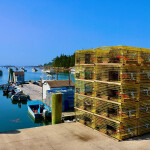 Lobster traps