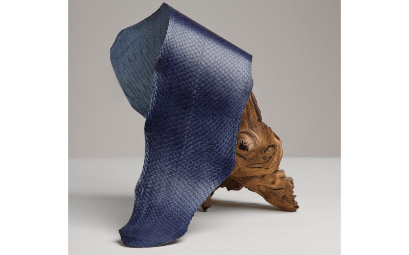 Salmon leather produced by French tanning firm Ictyos