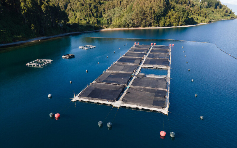 Salmones Camanchaca net pens on the water